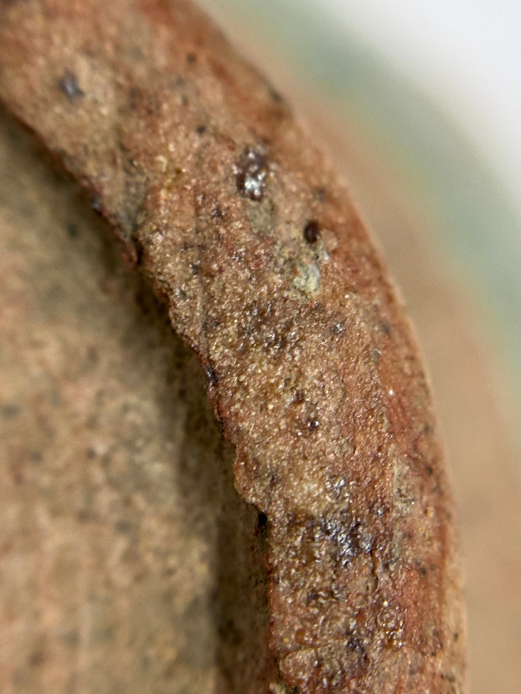 10th-13th Century Chinese Song Dynasty Green Glazed Mini Jar