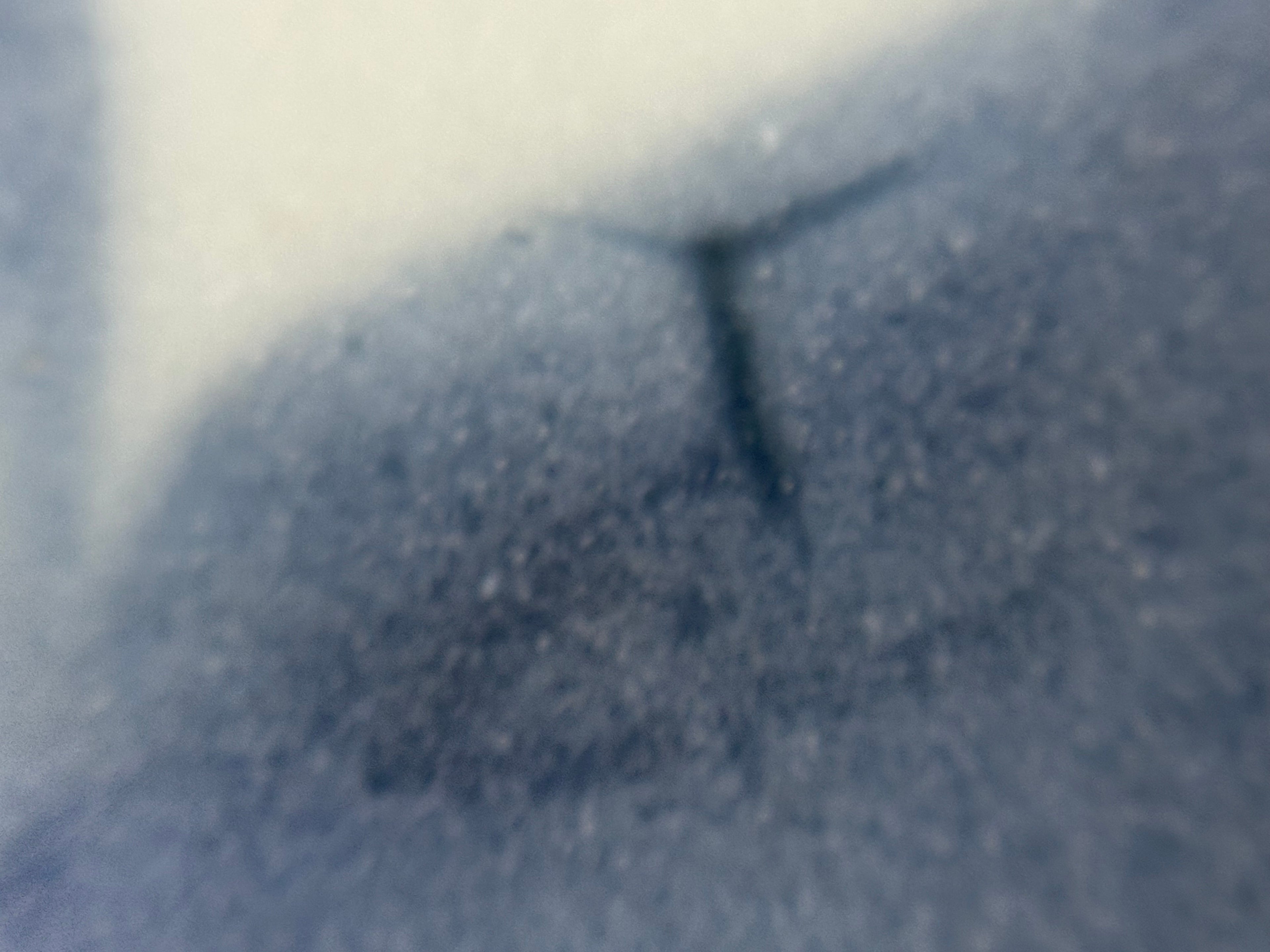 Authentic Tek Sing Shipwreck Porcelain Bowl - Qing Dynasty c.1822 - Nagel Auction Provenance