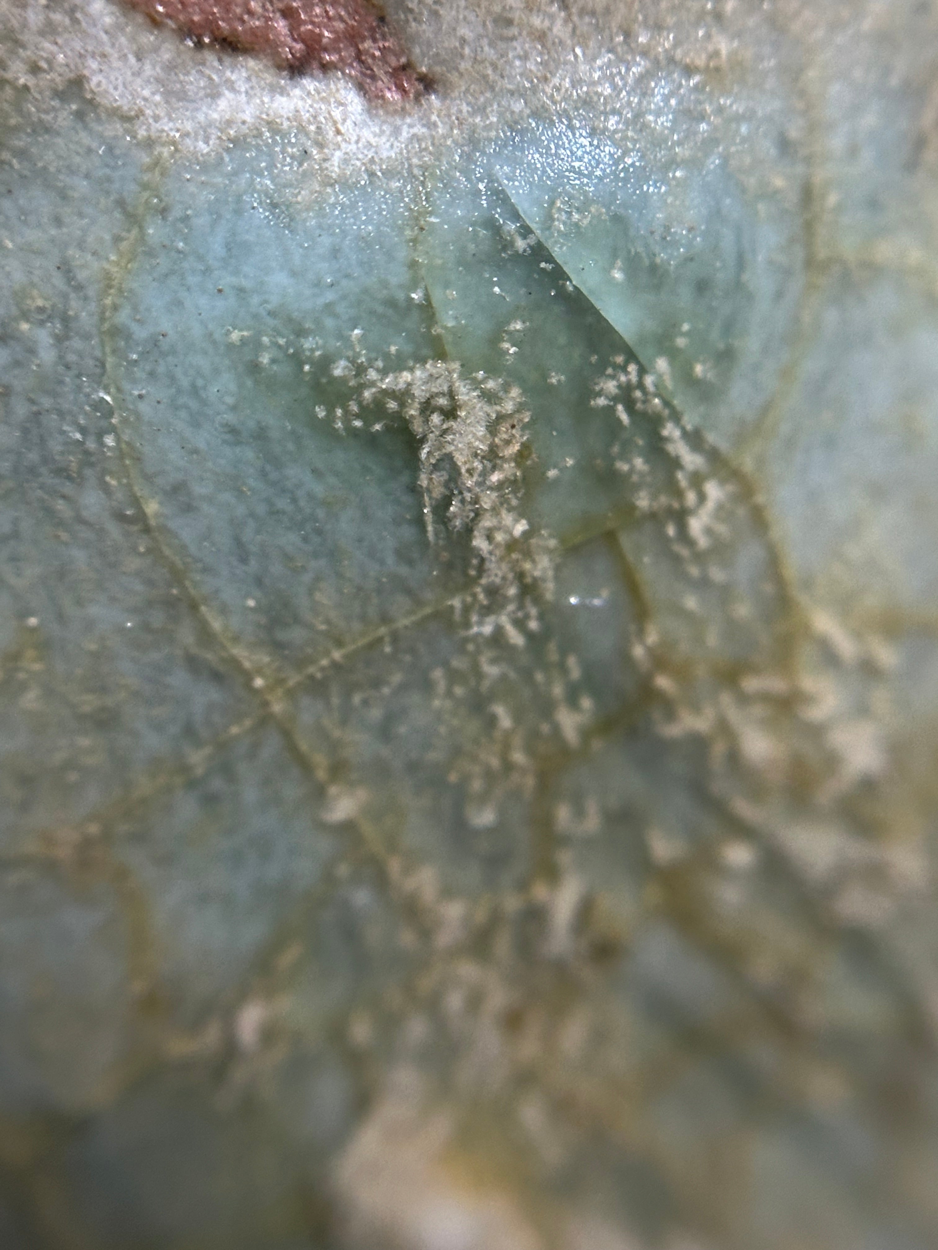 10th-13th Century Chinese Song Dynasty Green Glazed Mini Jar