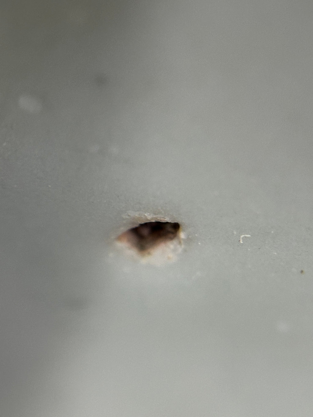 Authentic Tek Sing Shipwreck Porcelain Bowl - Qing Dynasty c.1822 - Nagel Auction Provenance