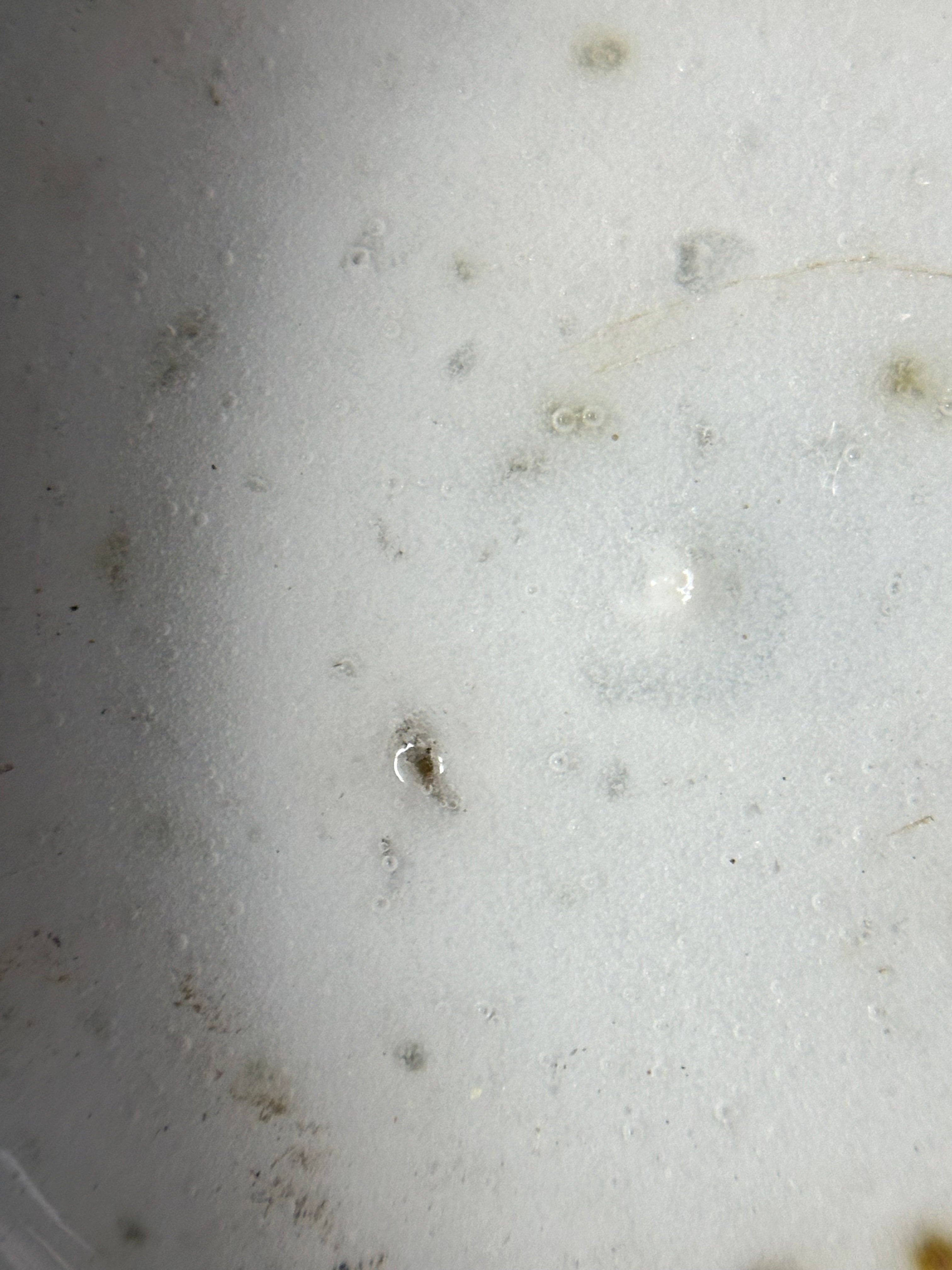 Mid-century was Chinese Blue & White Hand-Painted Tea Cup - Figurative Scholar & Landscape